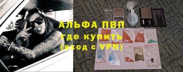 PSILOCYBIN Корсаков