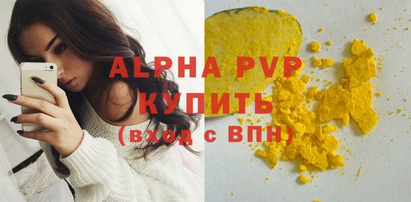 PSILOCYBIN Корсаков