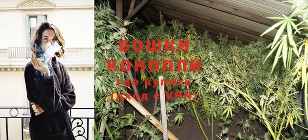 PSILOCYBIN Корсаков