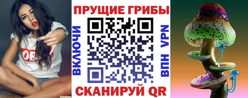 Галлюциногенные грибы Psilocybine cubensis  Купить закладки  Черняховск 